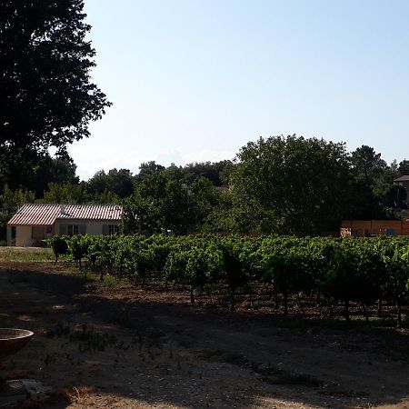 La Petite Maison Dans Les Vignes Chamaret エクステリア 写真