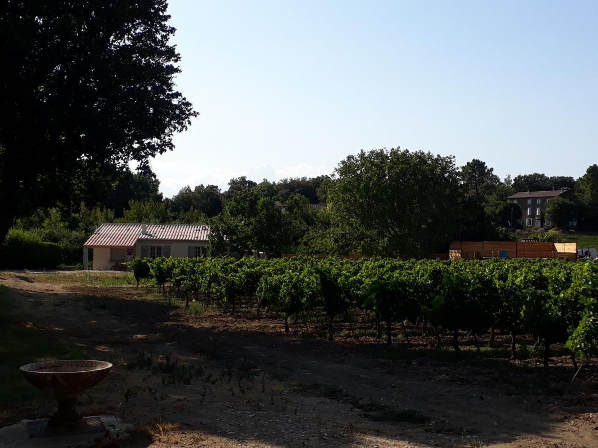 La Petite Maison Dans Les Vignes Chamaret エクステリア 写真