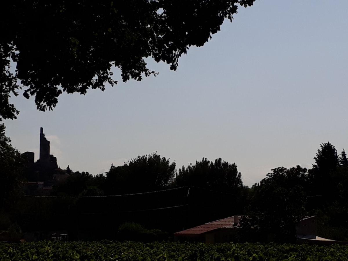La Petite Maison Dans Les Vignes Chamaret エクステリア 写真