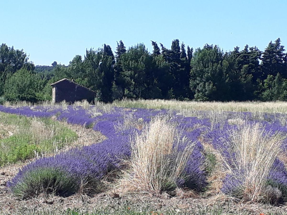 La Petite Maison Dans Les Vignes Chamaret エクステリア 写真